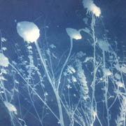 Stilisierte Blumen vor blauem Hintergrund. Testimonial für Birgit Herrscher Feinstoffliche Energiearbeit