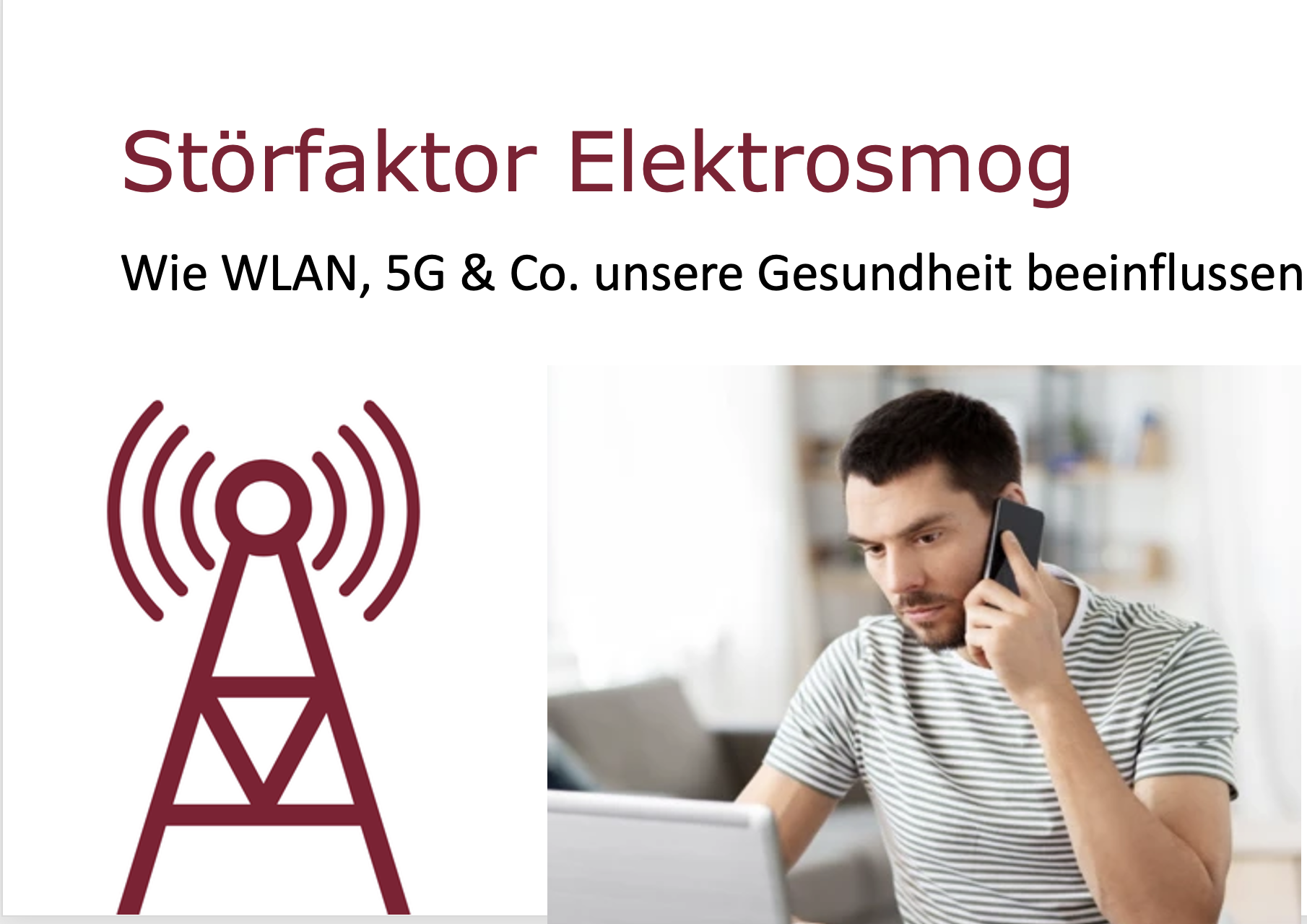 Vortrag_Stoerfaktor Elektrosmog Titelfolie von Birgit Herrscher zum Vortrag Elektrosmog